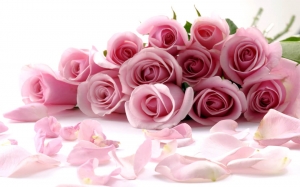Online flower and cakes gift delivery in Delhi NCR 